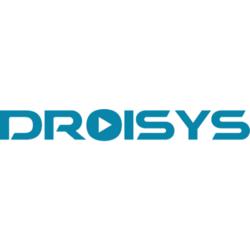 Droisys Inc. logo