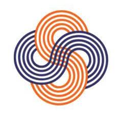 Software Business Solutions Consulting logo