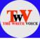The Write Voice Logo