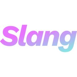 Slang.ai Logo