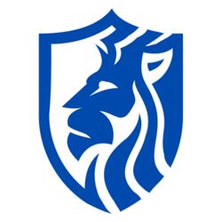 Leo Solutions logo