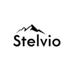 Stelvio Group logo